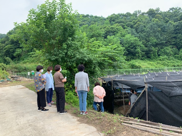 KakaoTalk_20210701_084652890.jpg