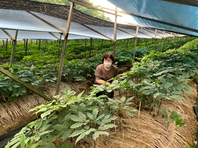 KakaoTalk_20210701_084654832.jpg