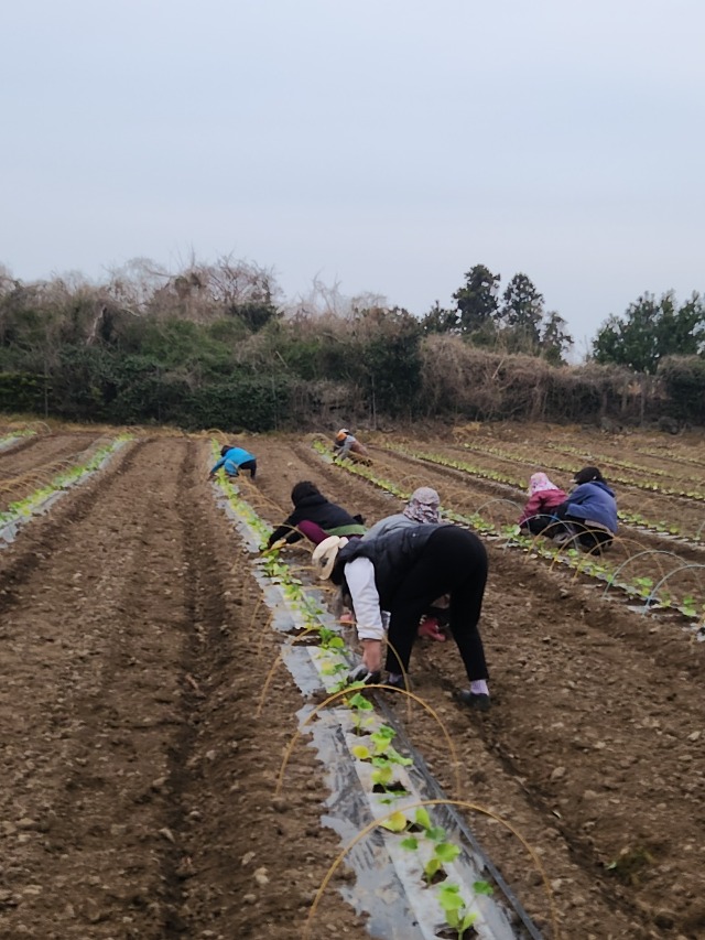 KakaoTalk_20250402_151901458.jpg
