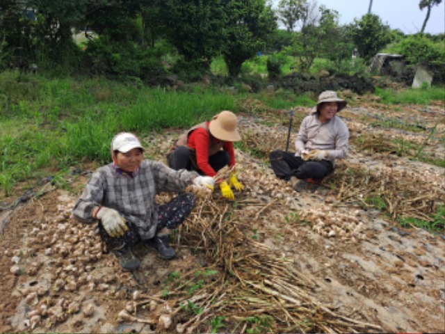 KakaoTalk_20250528_162246306_05.jpg