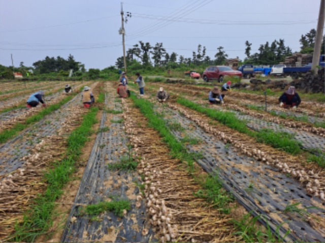 KakaoTalk_20250528_162246306_09.jpg