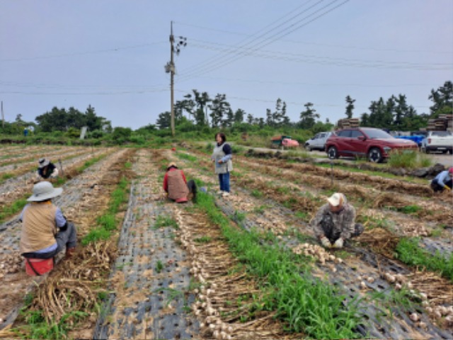 KakaoTalk_20250528_162246306_07.jpg